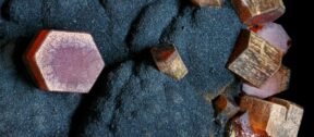 Critical Minerals and Energy Transition: The Ecosystem Imperative